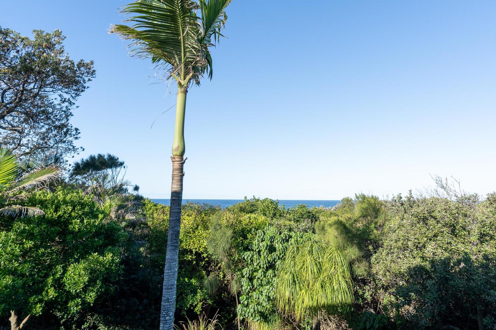 Glen Eden Beach Resort เพเรเจียนบีช ภายนอก รูปภาพ